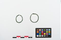 Foto von Bronzering (NHMW-PRAE-024169)